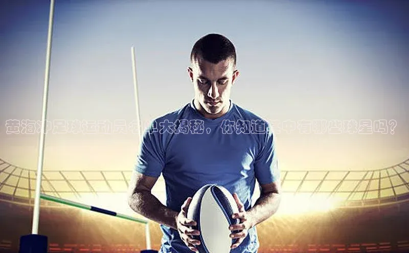 m6yy易游每日互动黄海冲足球运动员名单大揭秘，你知道其中有哪些球星吗？