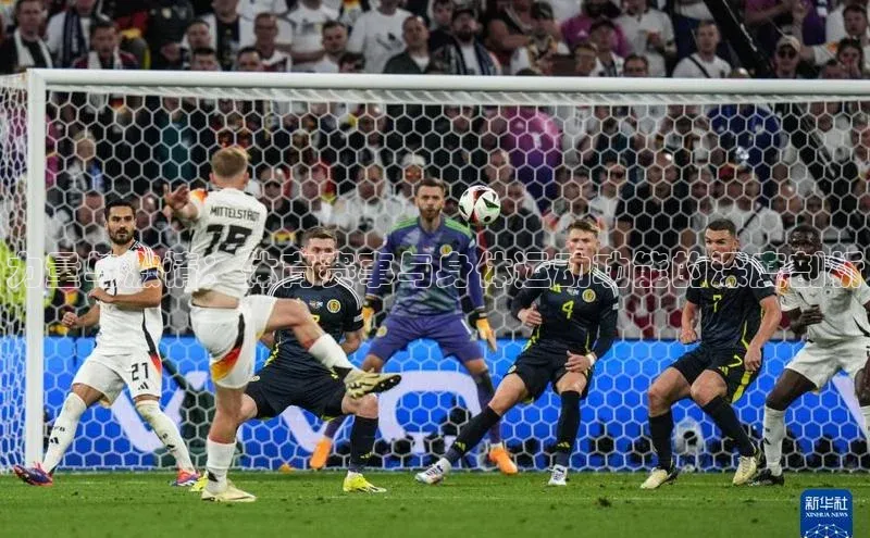 易游体育app下载安装最新版中海达力量与激情：体育赛事与身体运动功能的深度剖析