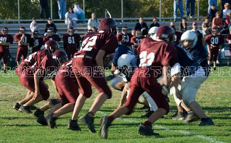 米乐m6网页版登录入口携程冬奥运动赛事全图鉴：冰雪之下的激情与速度