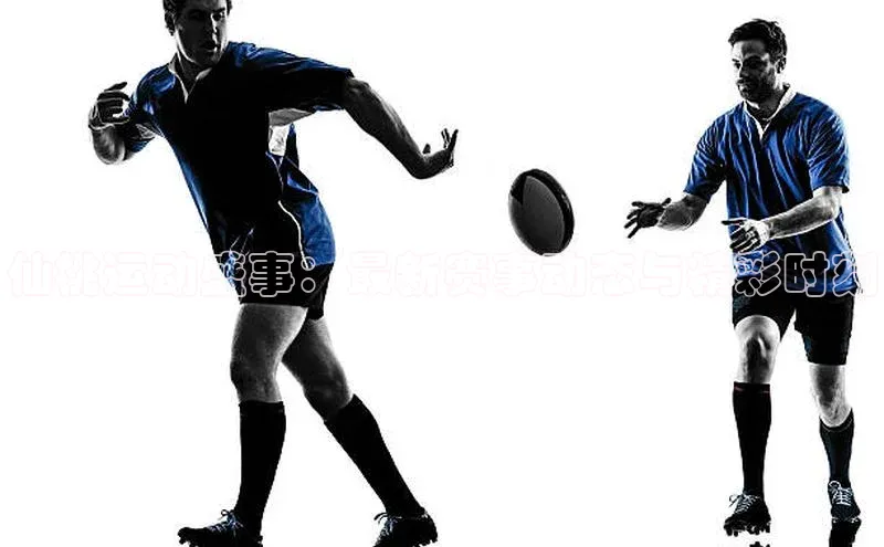 仙桃运动盛事：最新赛事动态与精彩时刻