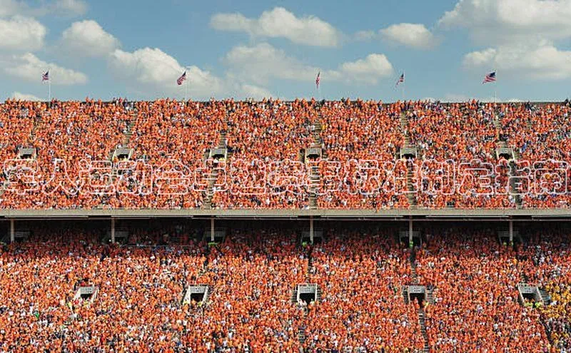 军人运动会卓越赛事标准制定指南