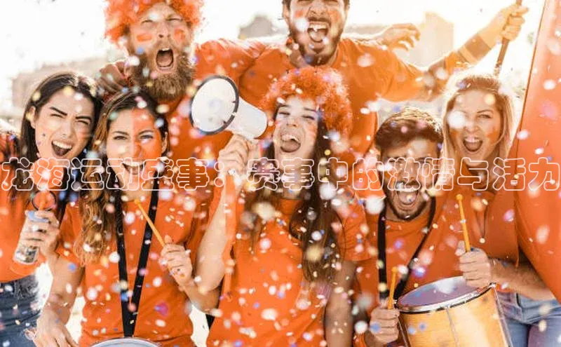 龙海运动盛事：赛事中的激情与活力