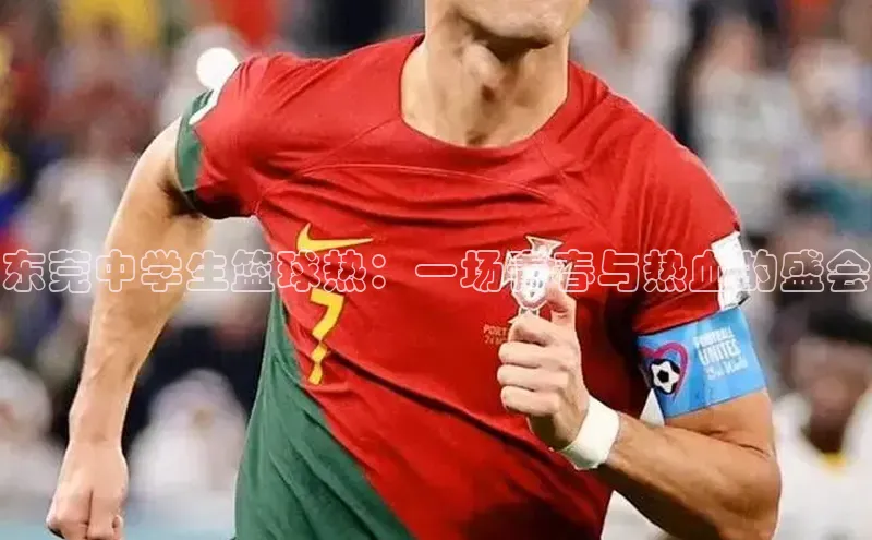 东莞中学生篮球热：一场青春与热血的盛会