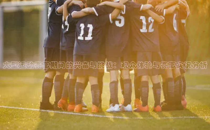 大型运动赛事期间的兴奋与挑战：观众体验与赛事实况分析