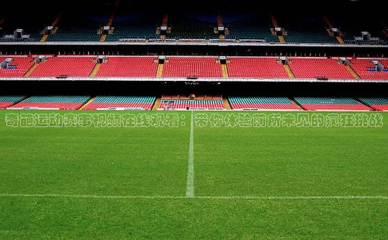 奇葩运动赛事视频在线观看：带你体验前所未见的疯狂挑战