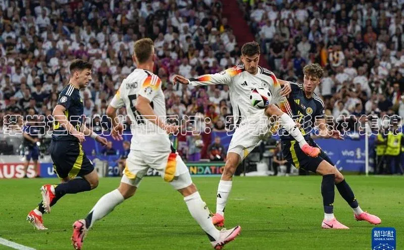 攀岩运动的壮丽瞬间：赛事精彩素材集锦