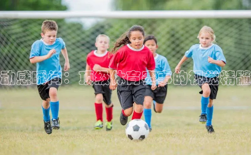 动感瞬间：顶级体育赛事的视觉精髓
