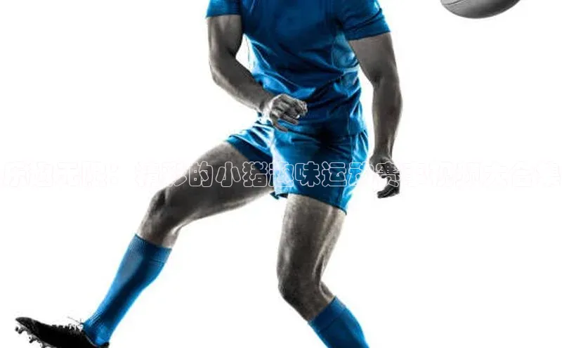 乐趣无限：精彩的小猪趣味运动赛事视频大合集