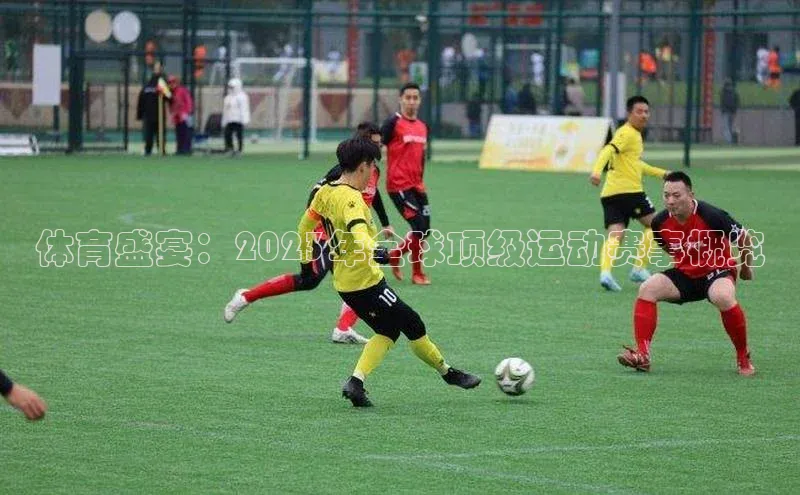 体育盛宴：2023年全球顶级运动赛事概览