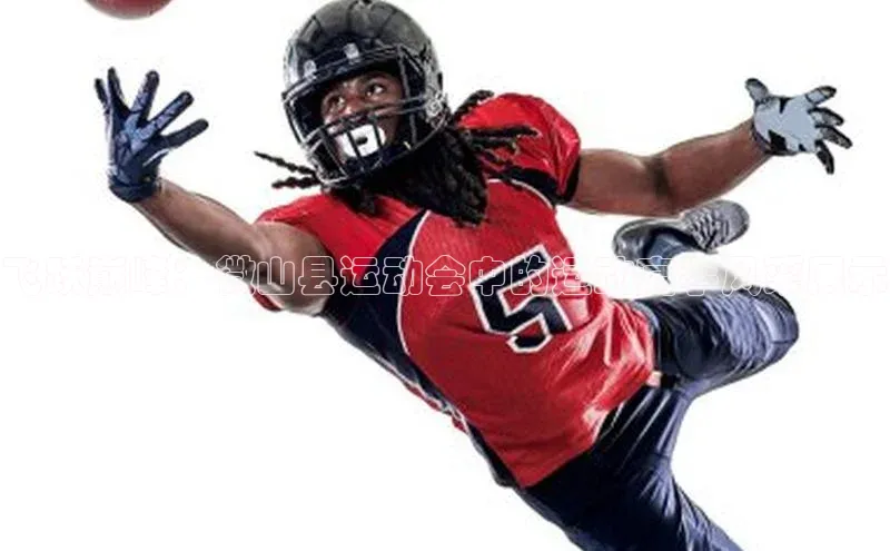 飞跃巅峰：微山县运动会中的运动高手风采展示