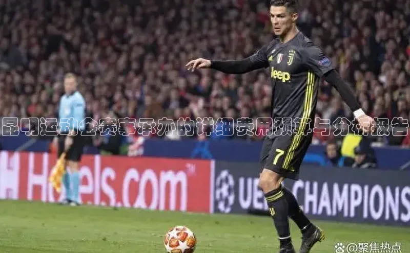 昆明运动会赛事承办的详细费用预算与分析报告