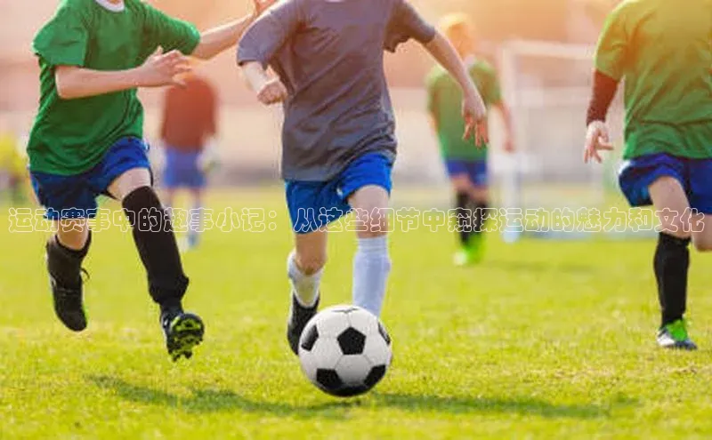 运动赛事中的趣事小记：从这些细节中窥探运动的魅力和文化