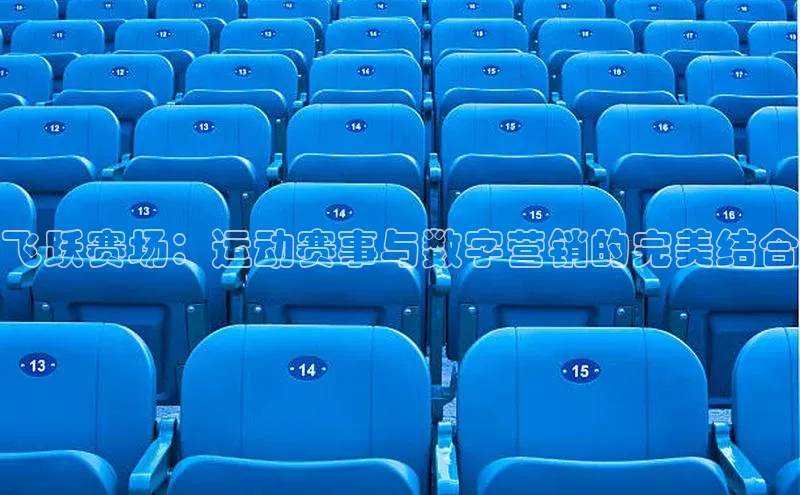 飞跃赛场：运动赛事与数字营销的完美结合