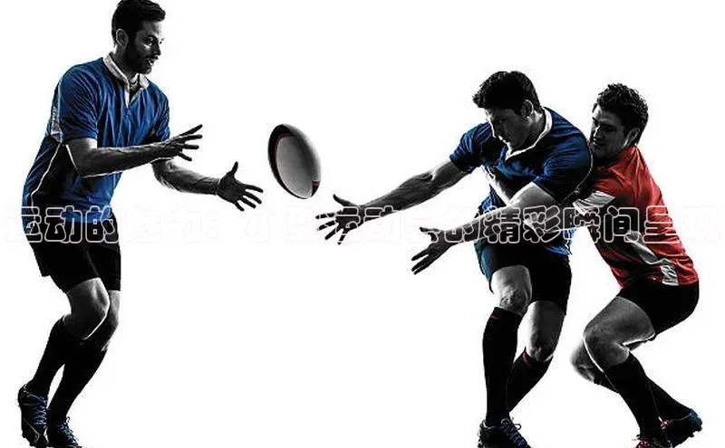 运动的魅力：小型运动会的精彩瞬间呈现