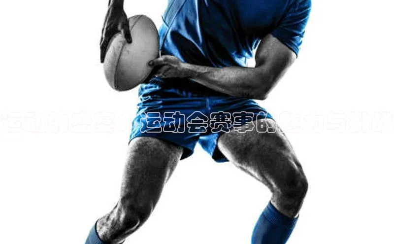 运动的盛宴：运动会赛事的魅力与挑战