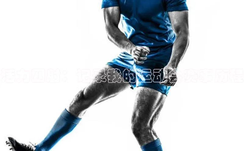 活力四射：记录我的运动会赛事历程