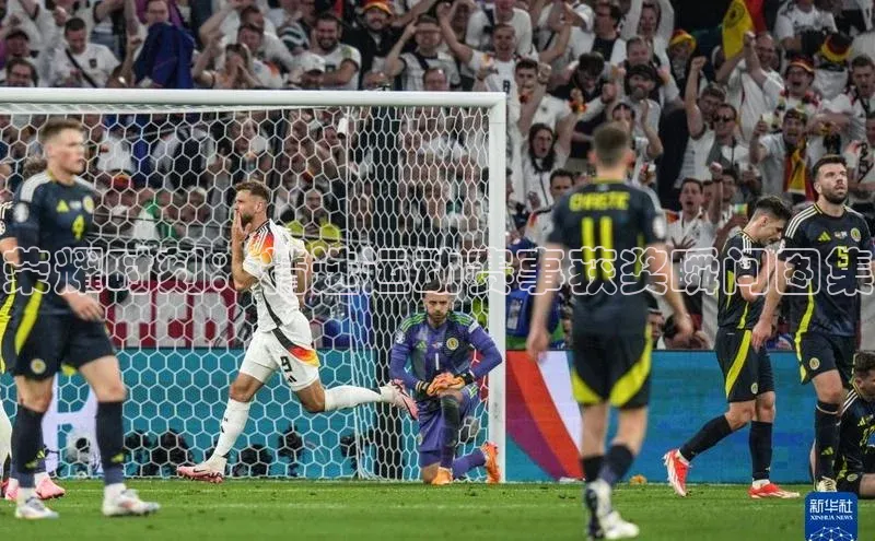 荣耀时刻：精选运动赛事获奖瞬间图集