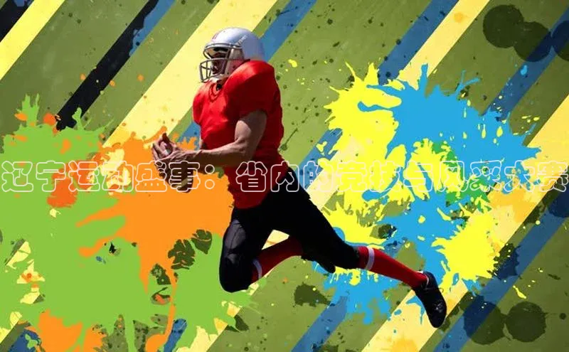 辽宁运动盛事：省内的竞技与风采大赛